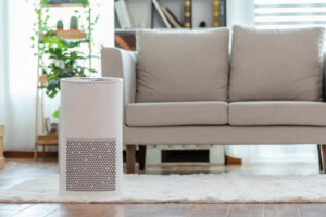 Blog 2 air purifier at home
